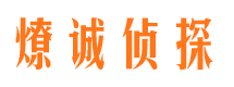 应城市侦探调查公司